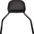 Load image into Gallery viewer, Cobra Backrest Kit - 11" - Black - FLSB 602-2031B - Main Product View