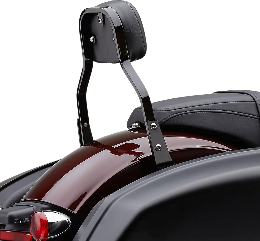 Cobra Backrest Kit - 11" - Black - FLSB 602-2031B - Back View