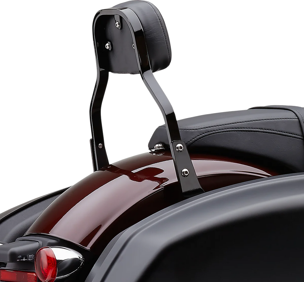 Cobra Backrest Kit - 11" - Black - FLSB 602-2031B - Back View