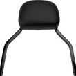 Load image into Gallery viewer, Cobra Backrest Kit - 11" - Black - FXLR 602-2029B - Main Product View