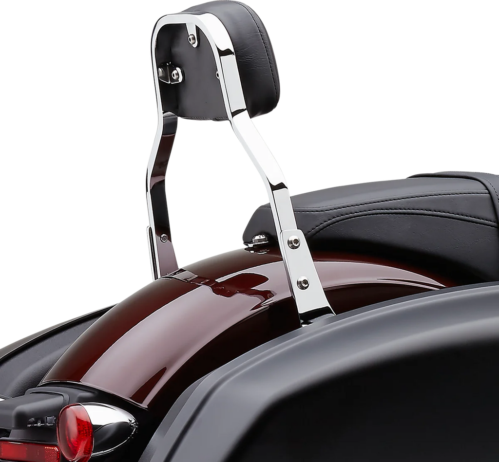 Cobra Backrest Kit - 11" - Chrome - FLSB 602-2031 - Back View