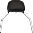 Load image into Gallery viewer, Cobra Backrest Kit - 11" - Chrome - FXLR 602-2029 - Main Product View