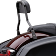 Load image into Gallery viewer, Cobra Backrest Kit - 14" - Black - FLSB 602-2051B - Back View