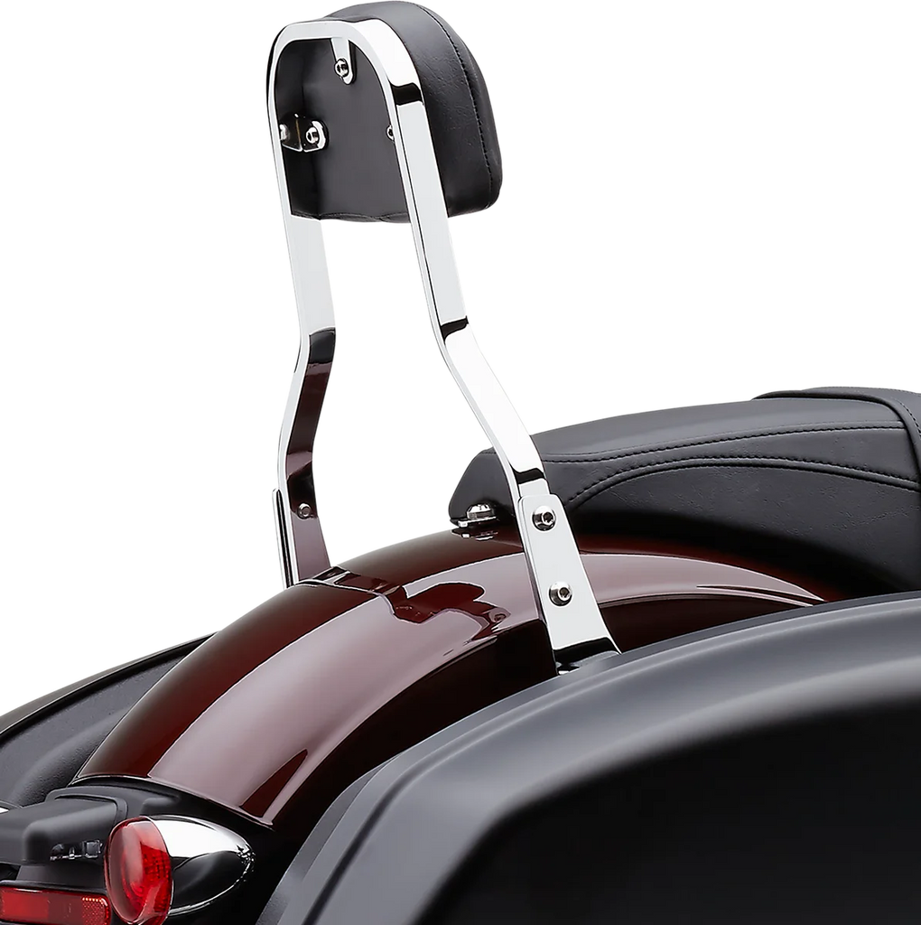 Cobra Backrest Kit - 14" - Chrome - FLSB 602-2051 - Back View