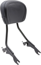 Load image into Gallery viewer, Cobra Detachable Backrest - Black 602-2000B
