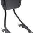 Load image into Gallery viewer, Cobra Detachable Backrest - Chrome 602-2012 - Side View