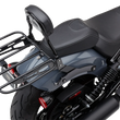 Load image into Gallery viewer, Cobra Detachable Backrest - Mini - Black - Chieftain 502-2012B - Back View