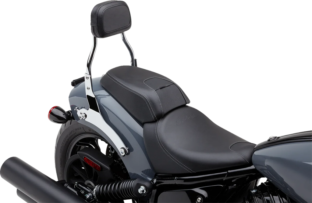 Cobra Detachable Backrest - Mini - Chrome - Chieftain 502-2012 - Back View