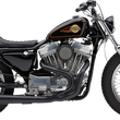 Load image into Gallery viewer, Cobra El Diablo Exhaust - Black - 4" 6471B - Main Product View