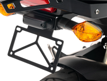Load image into Gallery viewer, Cobra License Plate Relocator - Grom 05-9007B - Installation View