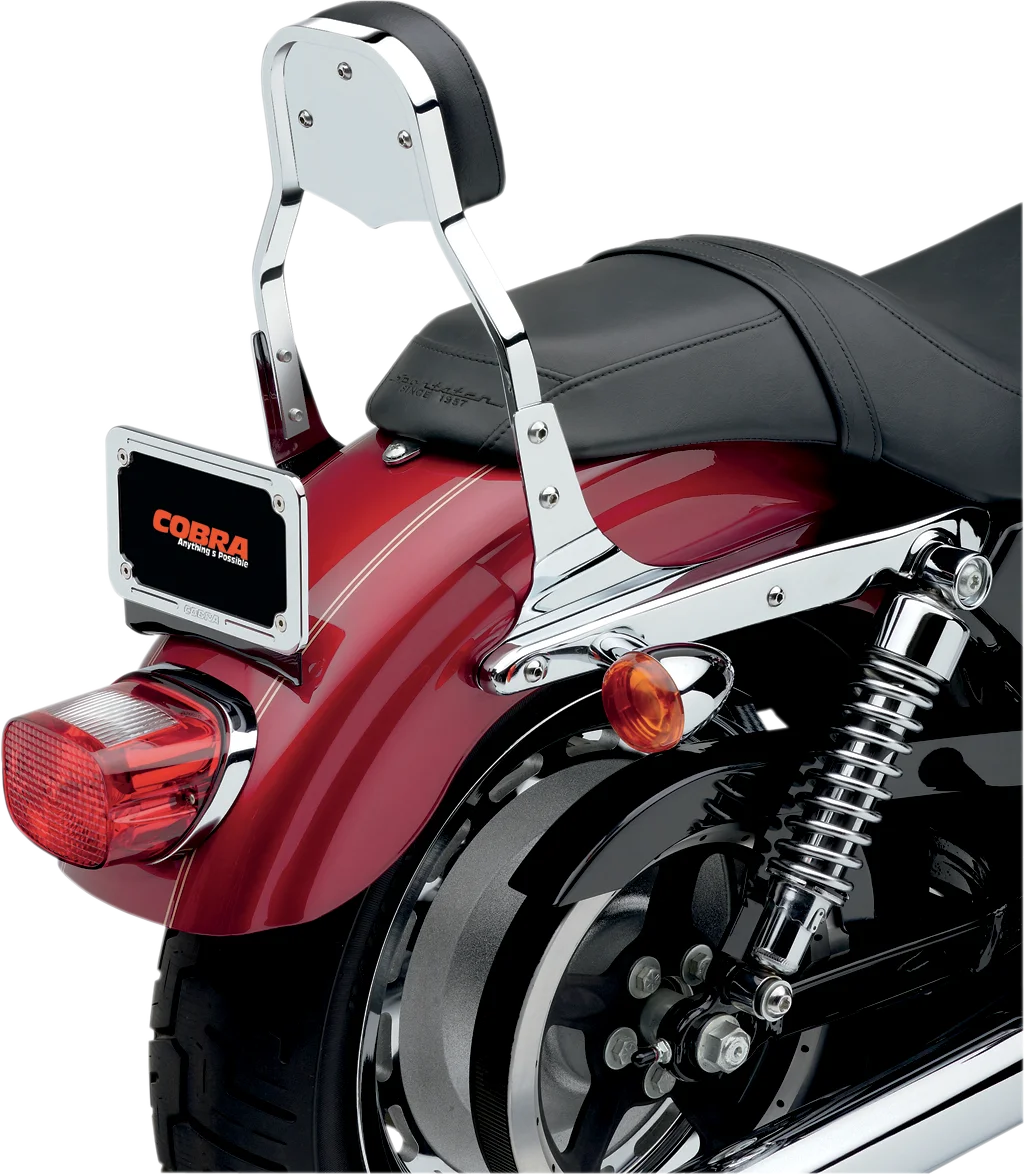 Cobra Mini Sissy Bar - FLSTF/FXST 602-1101 - Installation View