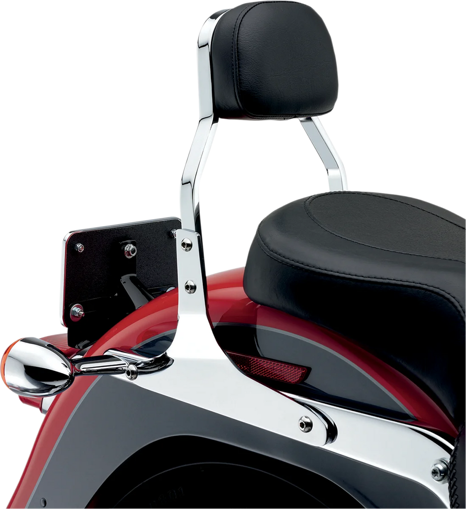 Cobra Mini Sissy Bar - XL '04-17 602-1103 - Back View