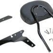 Load image into Gallery viewer, Cobra Round Sissy Bar - Short - Black - Sportster 602-1253B - Side View