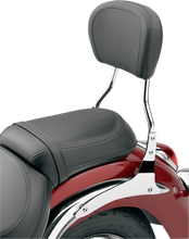 Load image into Gallery viewer, Cobra Round Sissy Bar - Short - FLST 602-1304 - Back View