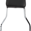 Load image into Gallery viewer, Cobra Short Sissy Bar - Dyna '06-17 602-1202 - Main Product View