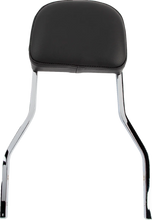 Load image into Gallery viewer, Cobra Short Sissy Bar - Dyna '06-17 602-1202 - Main Product View