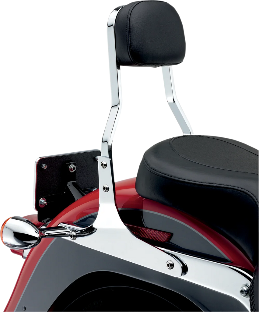 Cobra Short Sissy Bar - Dyna '06-17 602-1202 - Back View