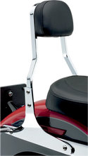 Load image into Gallery viewer, Cobra Short Sissy Bar - FLSTC/N 602-1204 - Back View