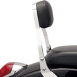 Load image into Gallery viewer, Cobra Sissy Bar - Mini - 1300 Stryker 02-4770 - Back View
