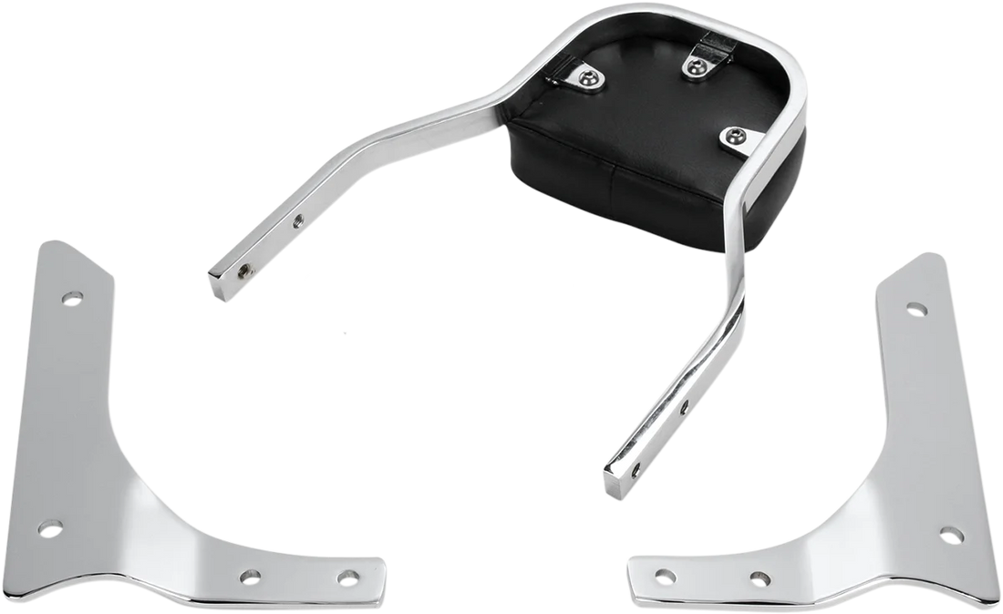 Cobra Sissy Bar - Mini - 750 Aero 02-4618 - Side View
