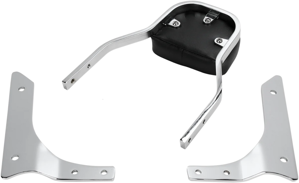 Cobra Sissy Bar - Mini - 750 Aero 02-4618 - Side View