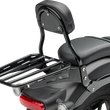 Load image into Gallery viewer, Cobra Sissy Bar - Mini - Black - Rebel 300/500 02-8608B - Side View