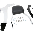 Load image into Gallery viewer, Cobra Sissy Bar - Mini - VT1300CR 02-4636 - Side View