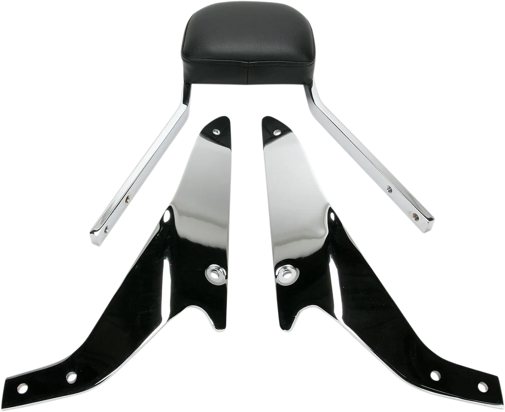 Cobra Sissy Bar - Mini - VZR 1800 02-4845 - Main Product View