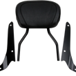 Load image into Gallery viewer, Cobra Sissy Bar - Short - Black - Shadow Phantom 02-8611B - Main Product View