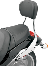 Load image into Gallery viewer, Cobra Sissy Bar - Short - Chrome - Raider 02-8765 - Back View