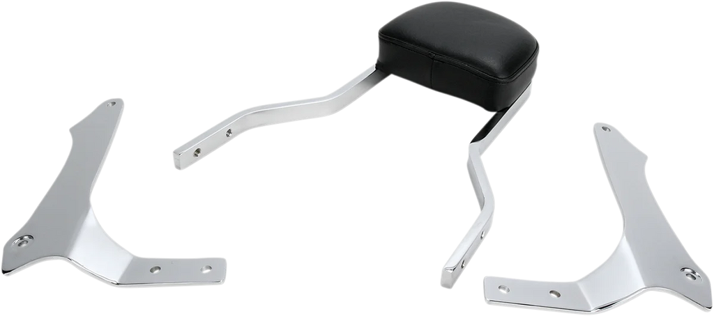 Cobra Sissy Bar - Short - Raider 02-5765 - Main Product View