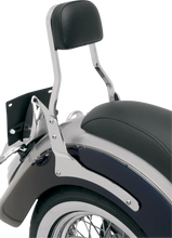 Load image into Gallery viewer, Cobra Sissy Bar - Short - Stryker 02-5770 - Back View