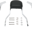 Load image into Gallery viewer, Cobra Sissy Bar - Short - VLX600 02-5601 - Main Product View