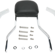 Load image into Gallery viewer, Cobra Sissy Bar - Short - VT750 02-5611 - Main Product View