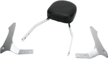 Load image into Gallery viewer, Cobra Sissy Bar - Standard - 1900 Roadliner 02-5260 - Main Product View
