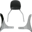 Load image into Gallery viewer, Cobra Sissy Bar - Standard - 1900 Roadliner 02-5260 - Side View