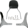 Load image into Gallery viewer, Cobra Sissy Bar - Standard - 1900 Roadliner 02-5260 - Back View
