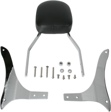 Load image into Gallery viewer, Cobra Sissy Bar - Standard - 1900 Roadliner 02-5260 - Back View