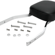 Load image into Gallery viewer, Cobra Sissy Bar - Standard - Honda VT 02-5111 - Side View