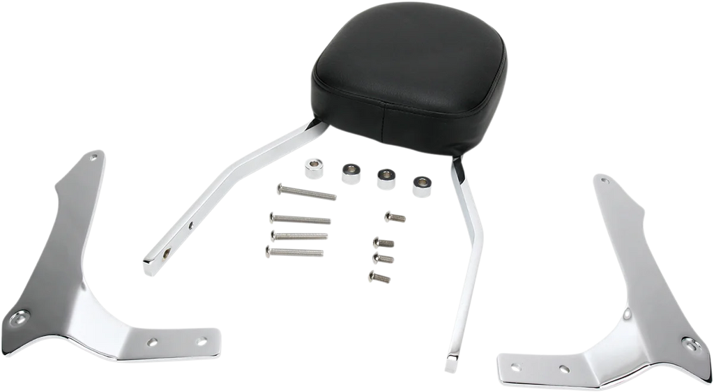 Cobra Sissy Bar - Standard - Raider 02-5265 - Main Product View
