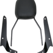 Load image into Gallery viewer, Cobra Sissy Bar - Standard - Shadow Phantom 02-5111B - Main Product View