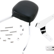 Load image into Gallery viewer, Cobra Sissy Bar - Standard - Stryker 02-5270 - Side View