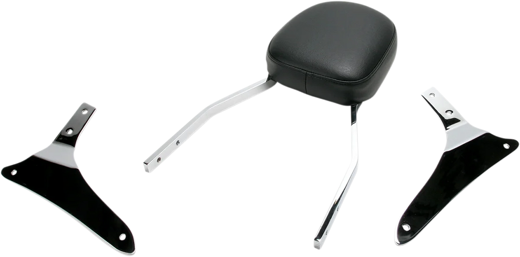 Cobra Sissy Bar - Standard - VN 1700 02-5465 - Main Product View