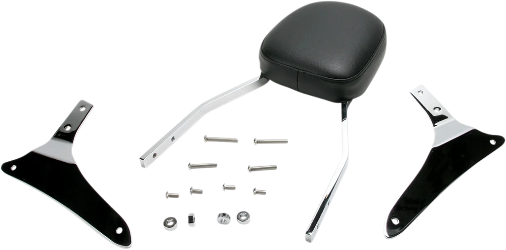 Cobra Sissy Bar - Standard - VN 1700 02-5465 - Side View