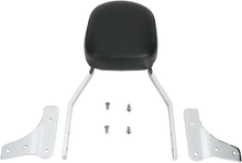 Load image into Gallery viewer, Cobra Sissy Bar - Standard - VN1500D 02-5440 - Main Product View