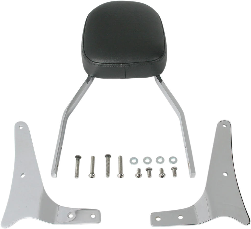 Cobra Sissy Bar - Standard - VN1600A 02-5461 - Main Product View