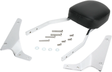 Load image into Gallery viewer, Cobra Sissy Bar - Standard - VTX1300R/S 02-5161 - Main Product View