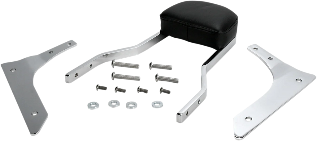 Cobra Sissy Bar - Standard - VZR 1800 02-5345 - Side View