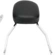 Load image into Gallery viewer, Cobra Sissy Bar - Standard - Vulcan 02-5468 - Main Product View