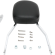 Load image into Gallery viewer, Cobra Sissy Bar - Standard - Vulcan 02-5468 - Side View